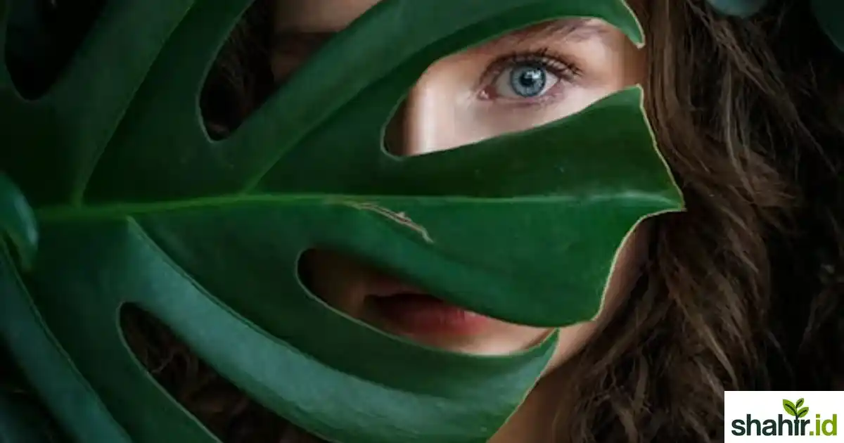 photo wanita dengan daun monstera